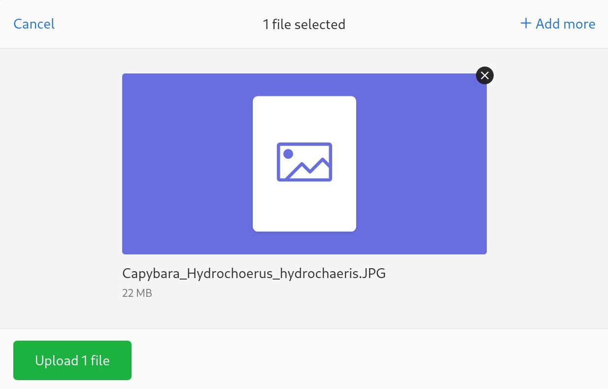 Uppy UI with a file selected with the Url plugin